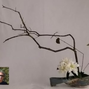 “La bellesa de la imperfecció” – Ikebana : Tardor (Del 28 al 30 de novembre 2025)