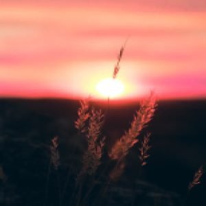 PSICOLOGIA I ESPIRITUALITAT Vorejant l’Ànima Humana: Els Somnis (Del 13 al 15 de març 2026)